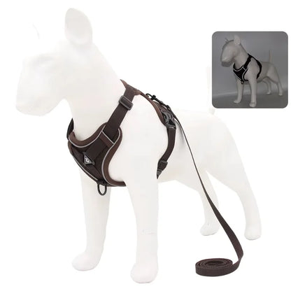 Dog-Harness-Luce-Illuminated-Set-brown