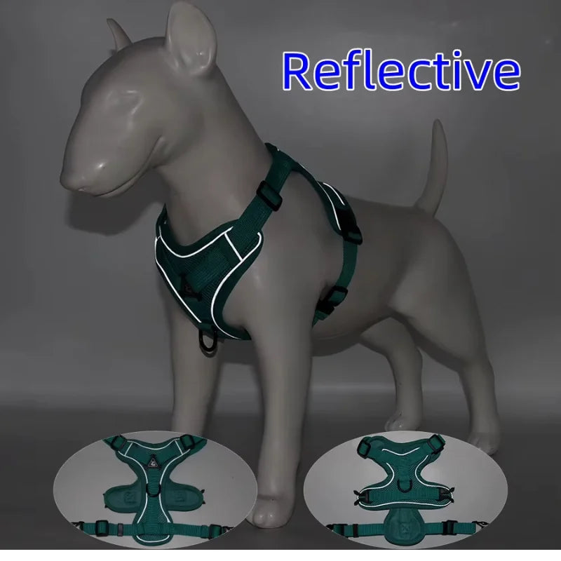 Dog-Harness-Luce-Illuminated-Set-details 02
