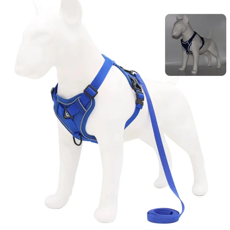 Dog-Harness-Luce-Illuminated-Set-blue