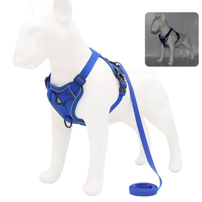 Dog-Harness-Luce-Illuminated-Set-blue