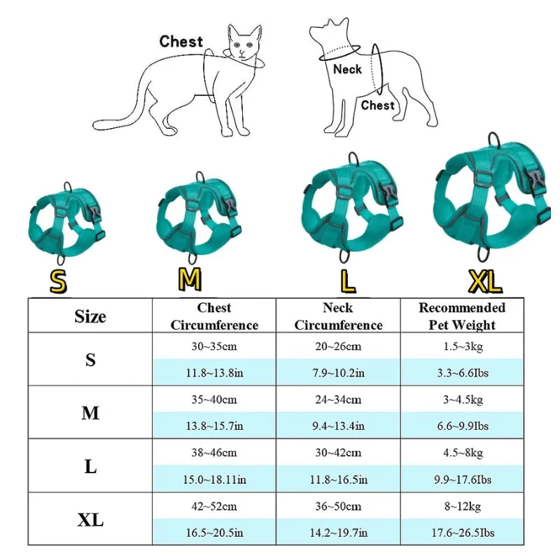 Dog-Harness-Luce-Illuminated-Set-size