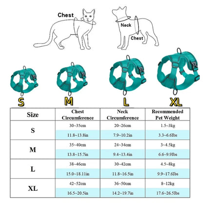 Dog-Harness-Luce-Illuminated-Set-size