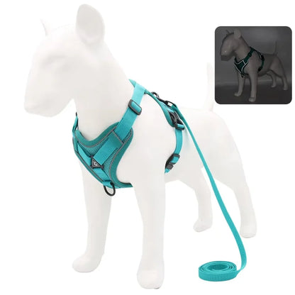 Dog-Harness-Luce-Illuminated-Set-green
