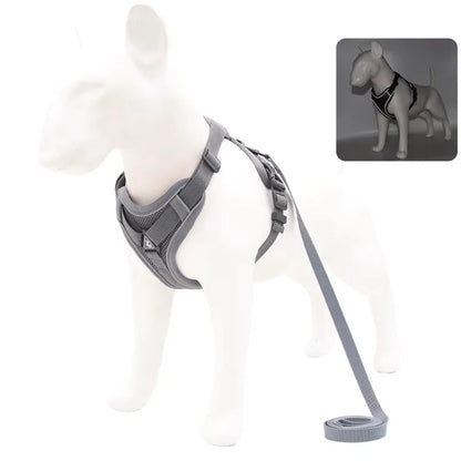 Dog-Harness-Luce-Illuminated-Set-gray