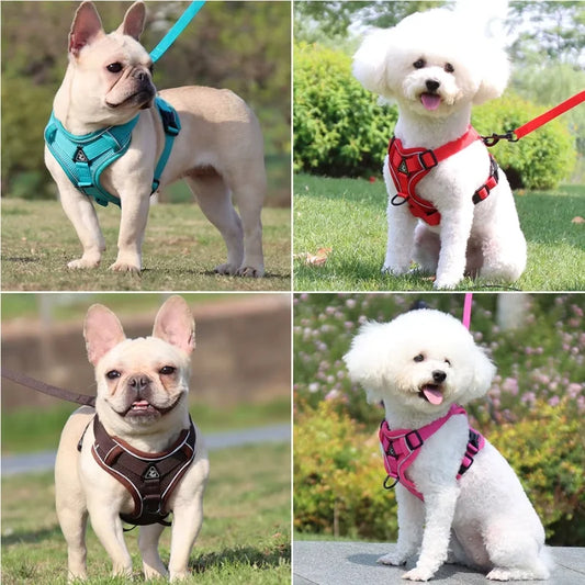 Dog-Harness-Luce-Illuminated-Set