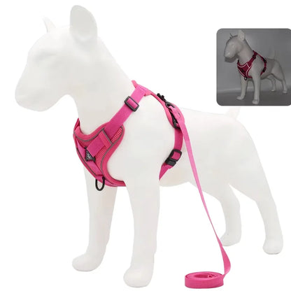 Dog Harness Luce Illuminated Set — Let Them Shine in the Dark