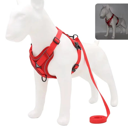 Dog Harness Luce Illuminated Set — Let Them Shine in the Dark