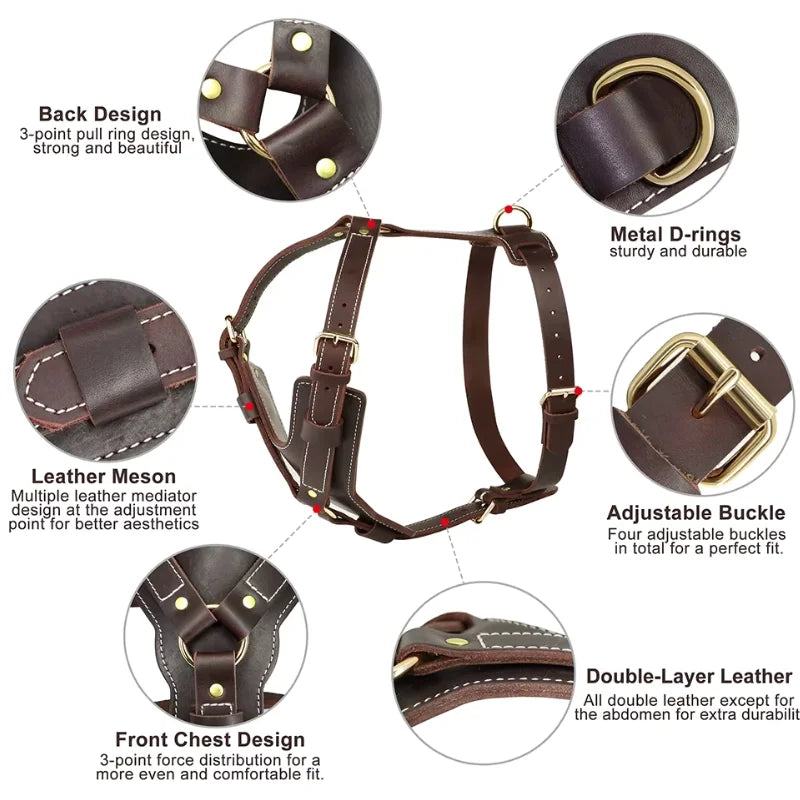 Dog-Harness-Oslo-Genuine-Leather-details