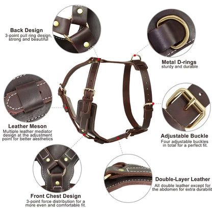 Dog-Harness-Oslo-Genuine-Leather-details