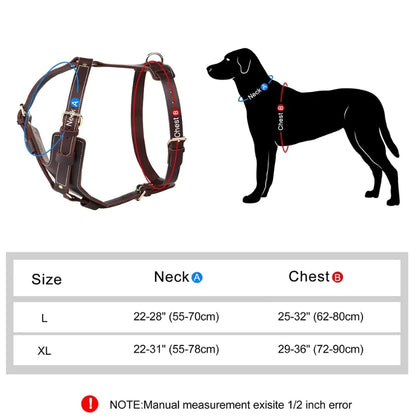 Dog-Harness-Oslo-Genuine-Leather-size