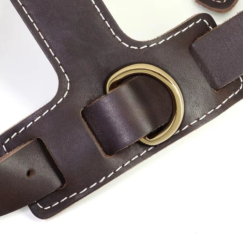 Dog-Harness-Oslo-Genuine-Leather-details