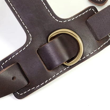 Dog-Harness-Oslo-Genuine-Leather-details