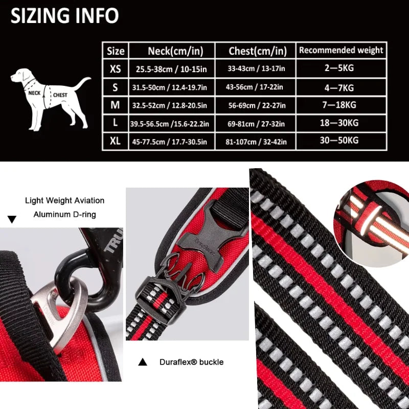 Dog Harness Pimlico Step-In On in Seconds, Never Over Their Head
