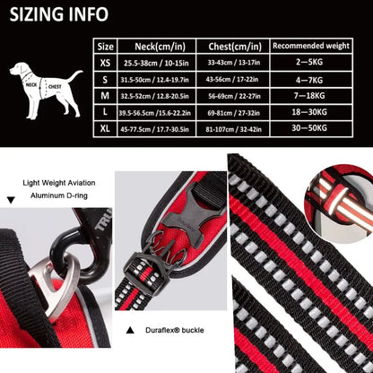 Dog Harness Pimlico Step-In On in Seconds, Never Over Their Head
