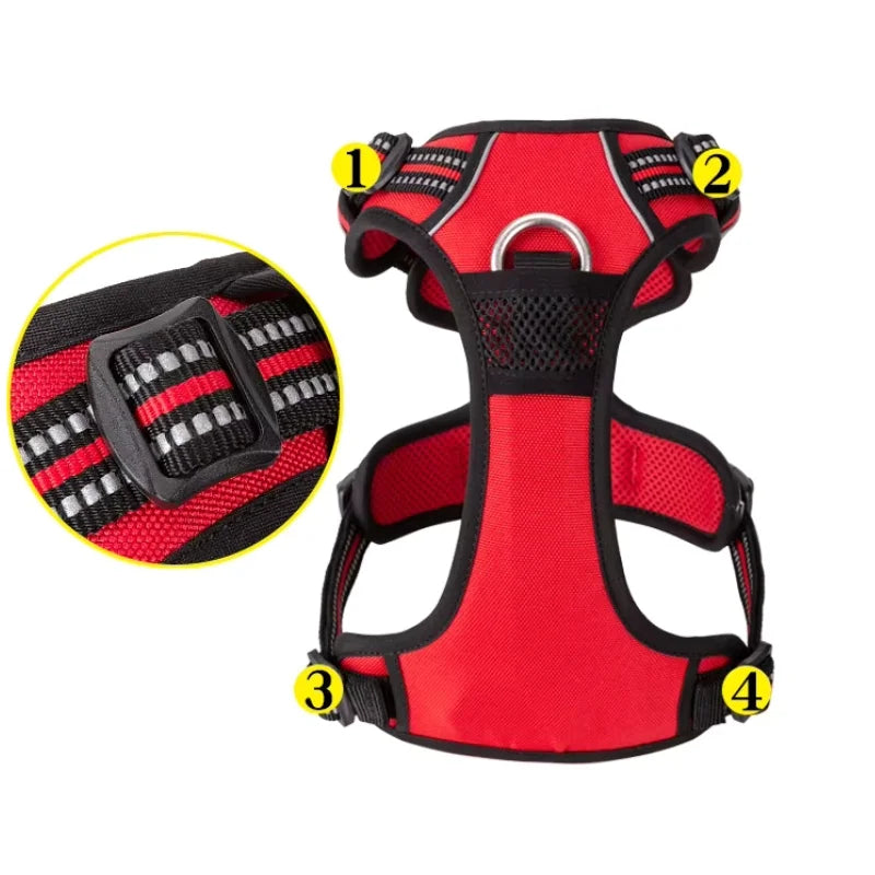 Dog Harness Pimlico Step-In On in Seconds, Never Over Their Head