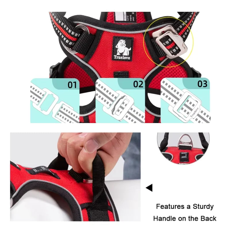 Dog Harness Pimlico Step-In On in Seconds, Never Over Their Head