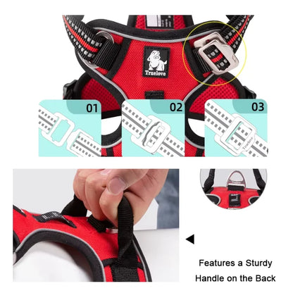 Dog Harness Pimlico Step-In On in Seconds, Never Over Their Head