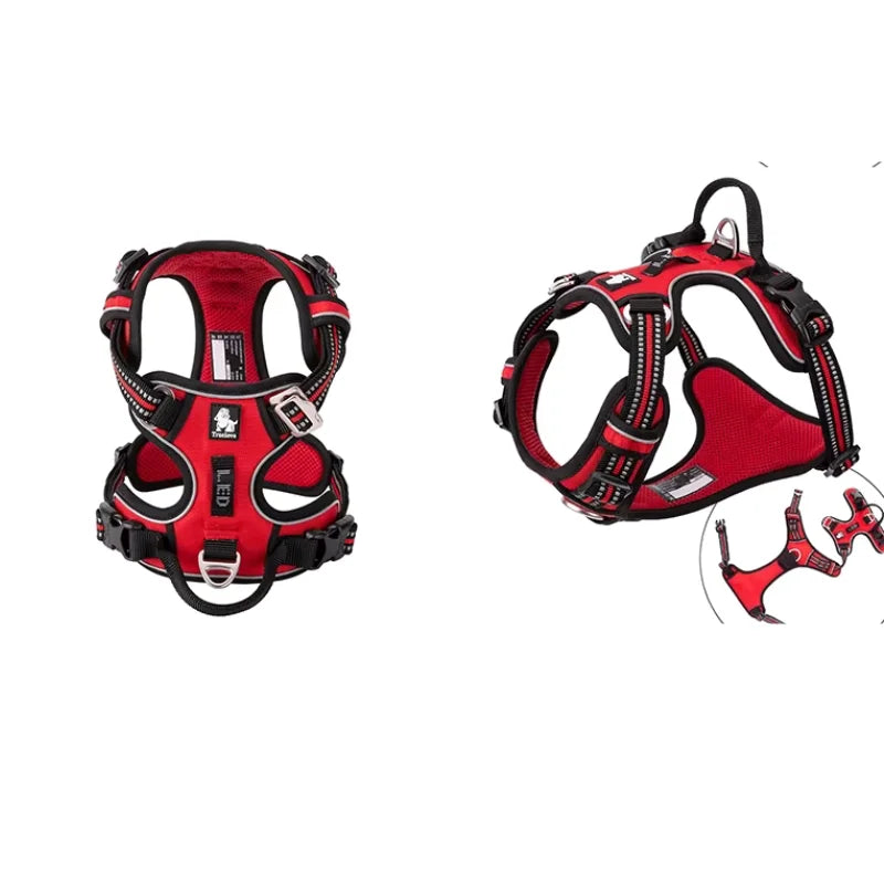 Dog Harness Pimlico Step-In On in Seconds, Never Over Their Head