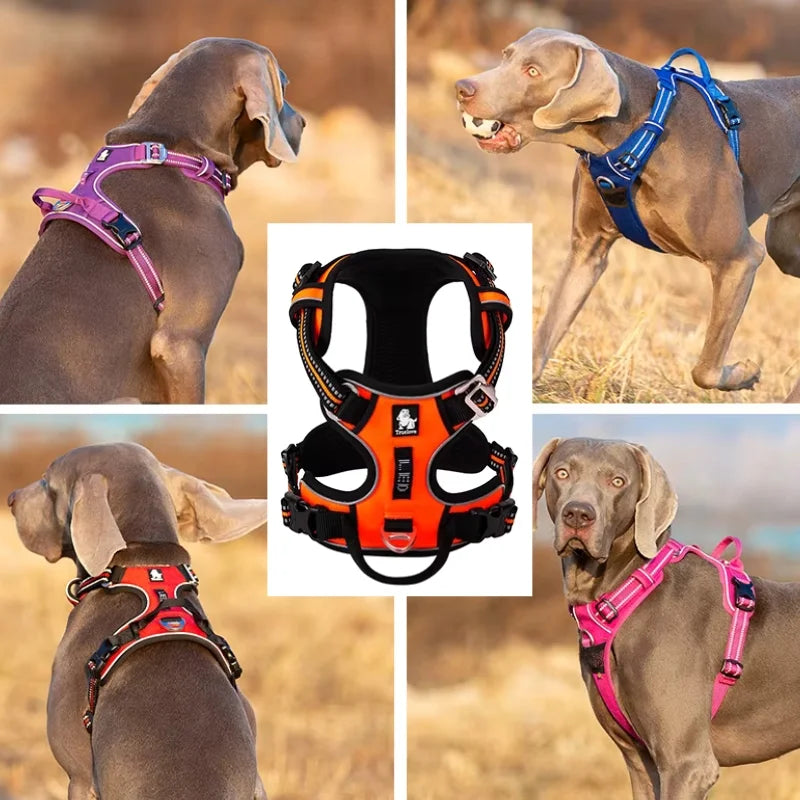 Dog Harness Pimlico Step-In On in Seconds, Never Over Their Head
