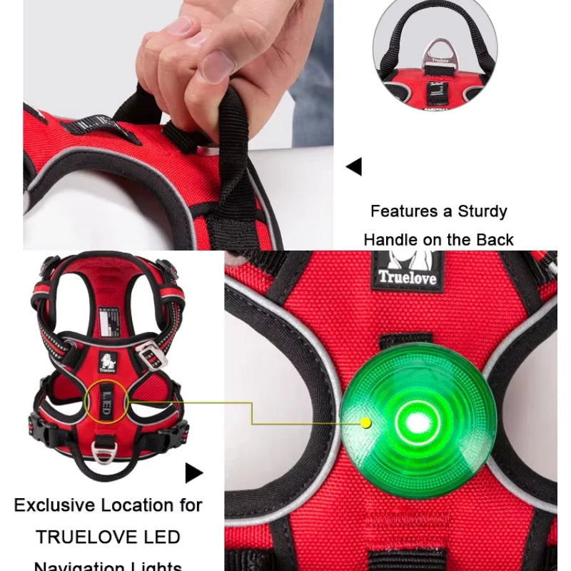 Dog Harness Pimlico Step-In On in Seconds, Never Over Their Head