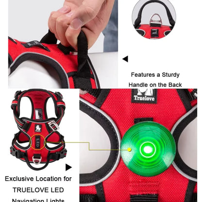Dog Harness Pimlico Step-In On in Seconds, Never Over Their Head