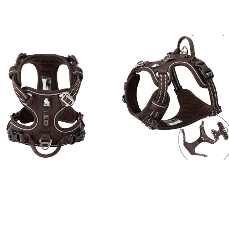 Dog Harness Pimlico Step-In On in Seconds, Never Over Their Head