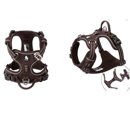 Dog Harness Pimlico Step-In On in Seconds, Never Over Their Head