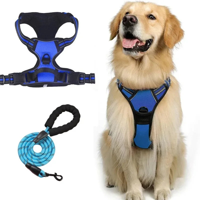 Dog-Harness-Putney-No-Pull-Set-blue