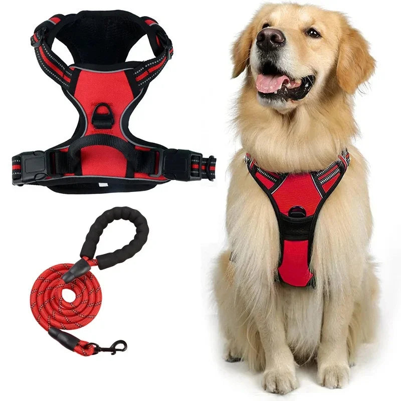 Dog-Harness-Putney-No-Pull-Set-red