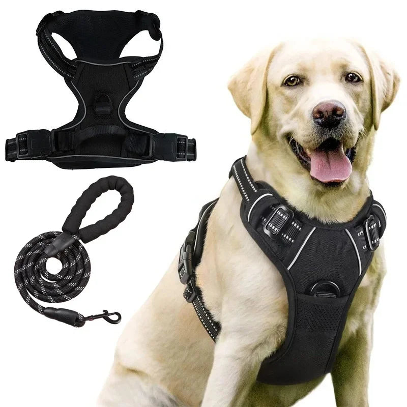 Dog-Harness-Putney-No-Pull-Set-black