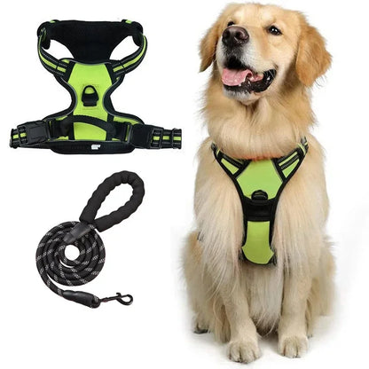 Dog-Harness-Putney-No-Pull-Set-green