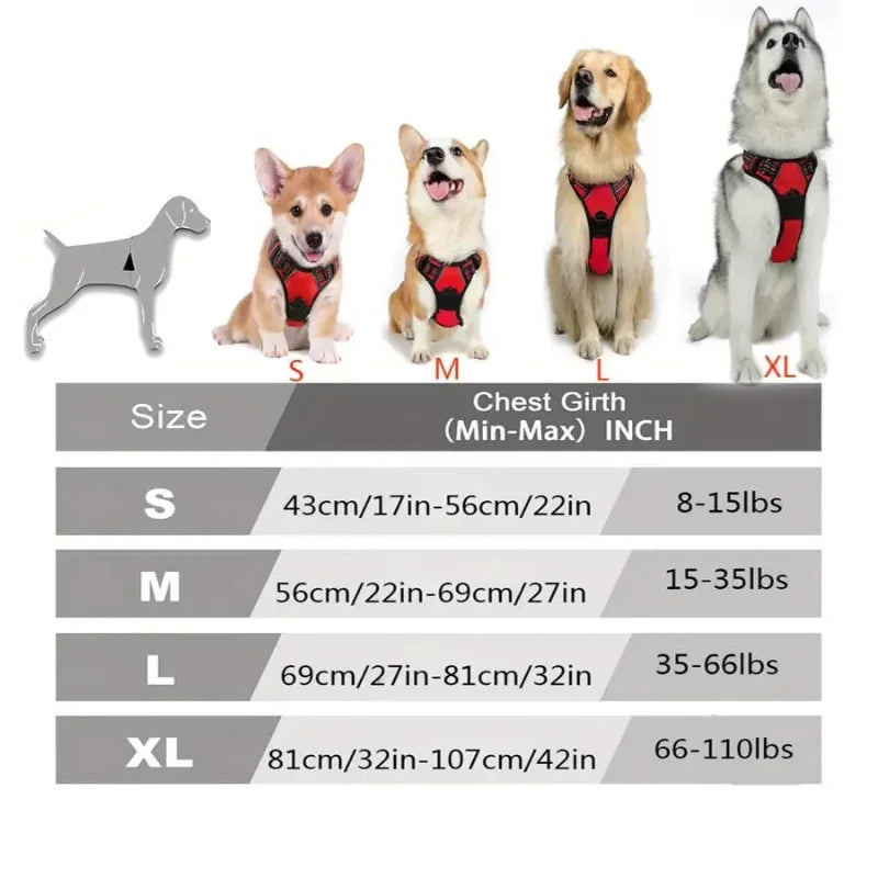 Dog-Harness-Putney-No-Pull-Set-size