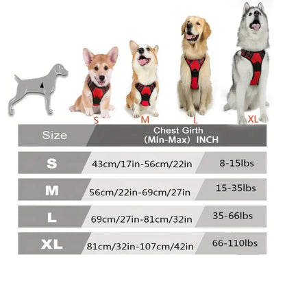 Dog-Harness-Putney-No-Pull-Set-size