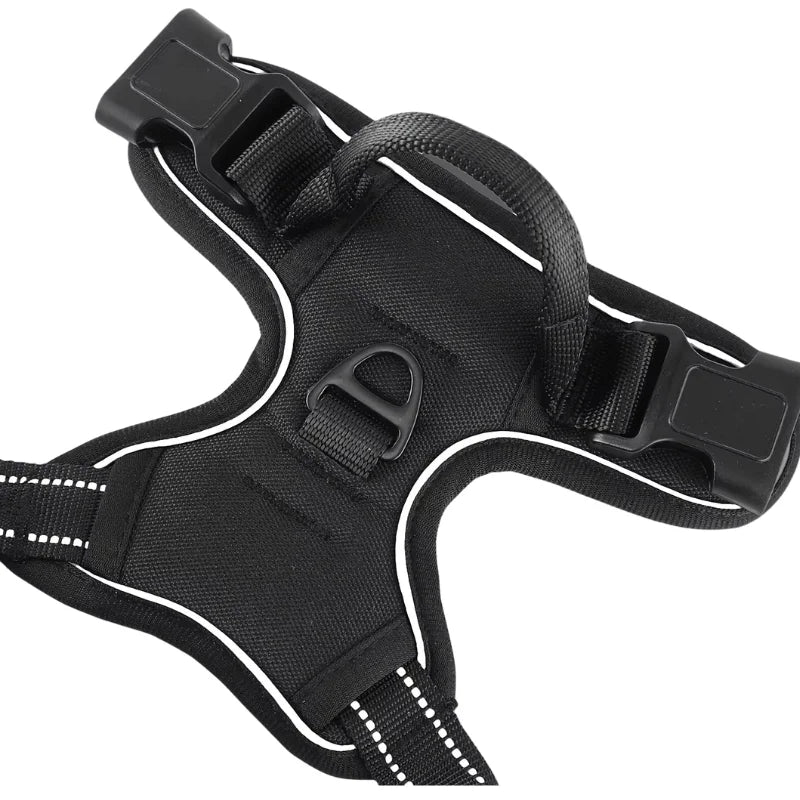 Dog-Harness-Putney-No-Pull-Set-details 04