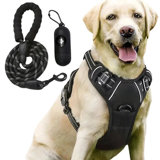 Dog-Harness-Putney-No-Pull-Set-black