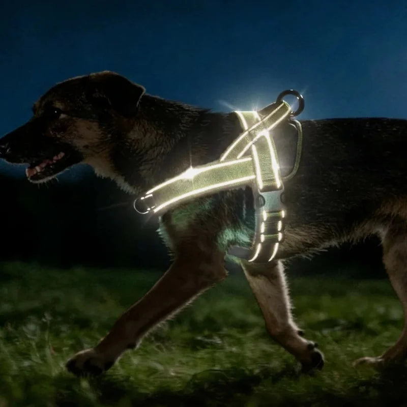 Dog-Harness-Reflet-High-Visibility-details006