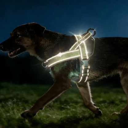 Dog-Harness-Reflet-High-Visibility-details006