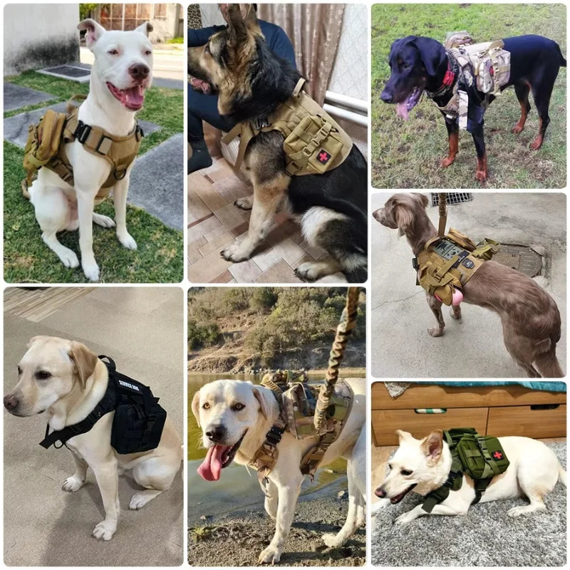 Dog Harness Soho Military Harness .