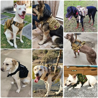 Dog Harness Soho Military Harness .