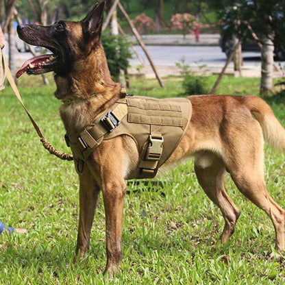 Dog Harness Soho Military Harness 