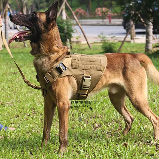 Dog Harness Soho Military Harness 