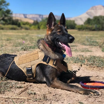 Dog Harness Soho Military Harness .,.