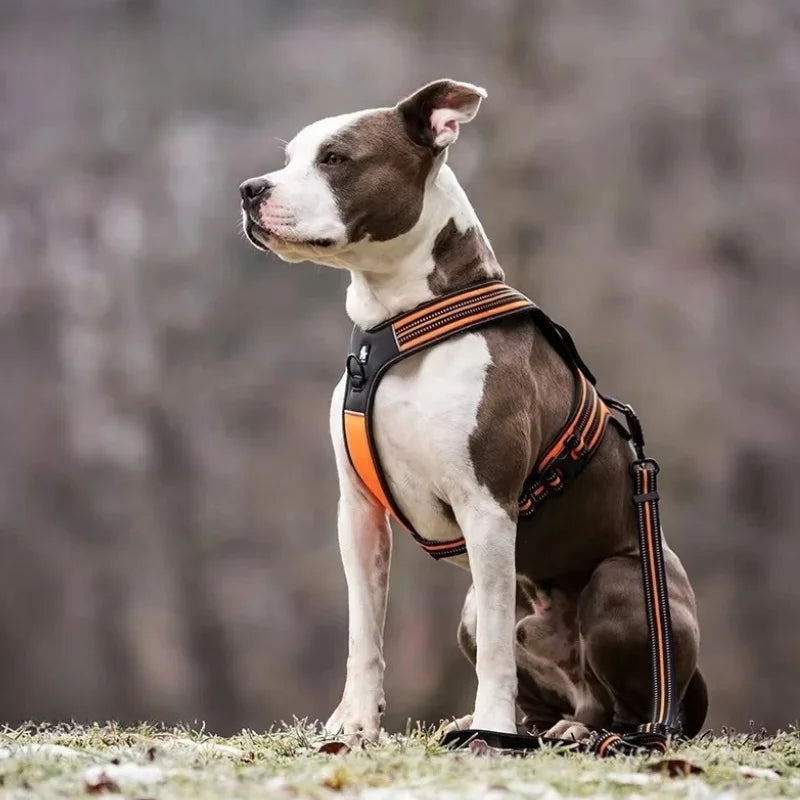 Dog-Harness-Soigne-Escape-Proof.01