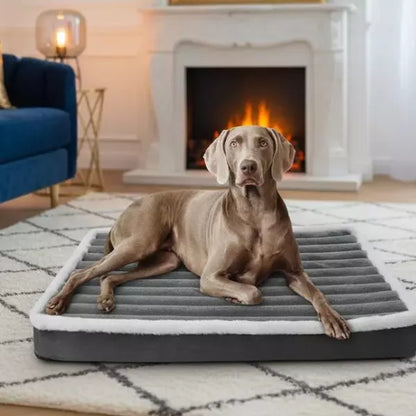 Dog Orthopaedic Bed 