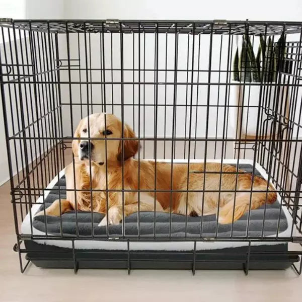 Dog Orthopaedic Bed  UK