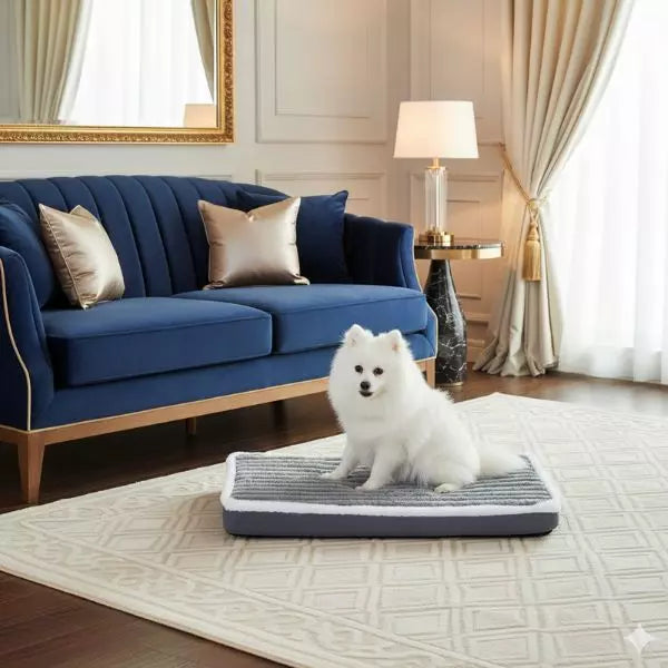Dog Bed orthopaedic UK