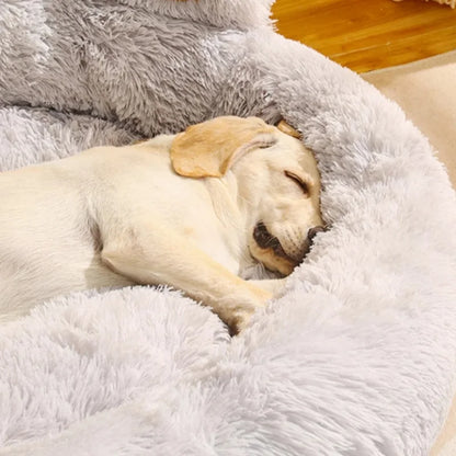 Lits pour chiens PAWMOSS