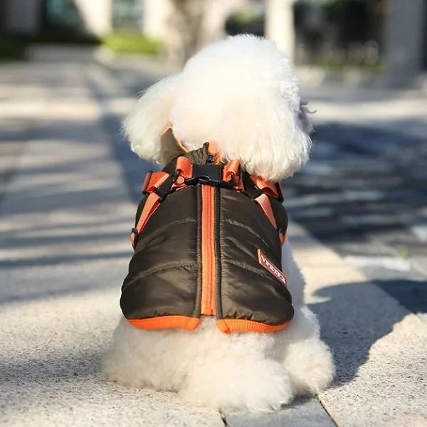 Dog Coat | Waterproof for Small Dogs-'