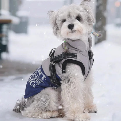 DogCoats-With-Harness-ArcticFlow-Comfort-and-Daily-Protection-,
