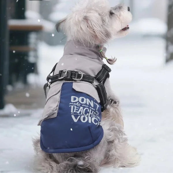 Dog Coat for Winter-blue-2